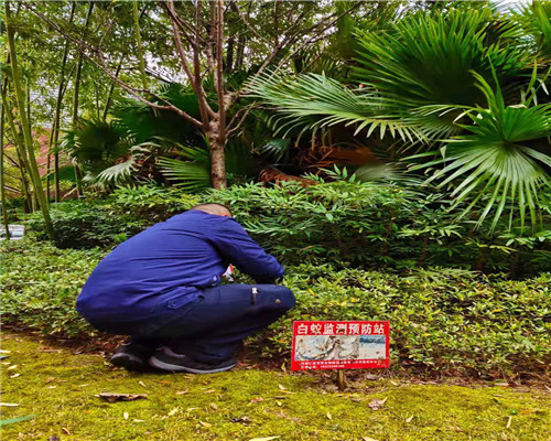 三门峡园区灭白蚁