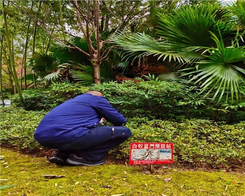 黑河园区灭白蚁